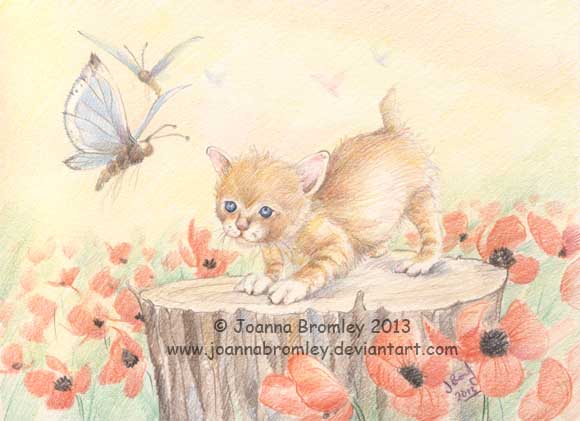 Kitten & Butterfly by Joanna Bromley